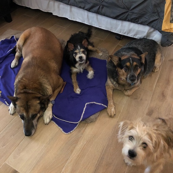 Meet your Posher, Vanessa - Picture 2 of 3